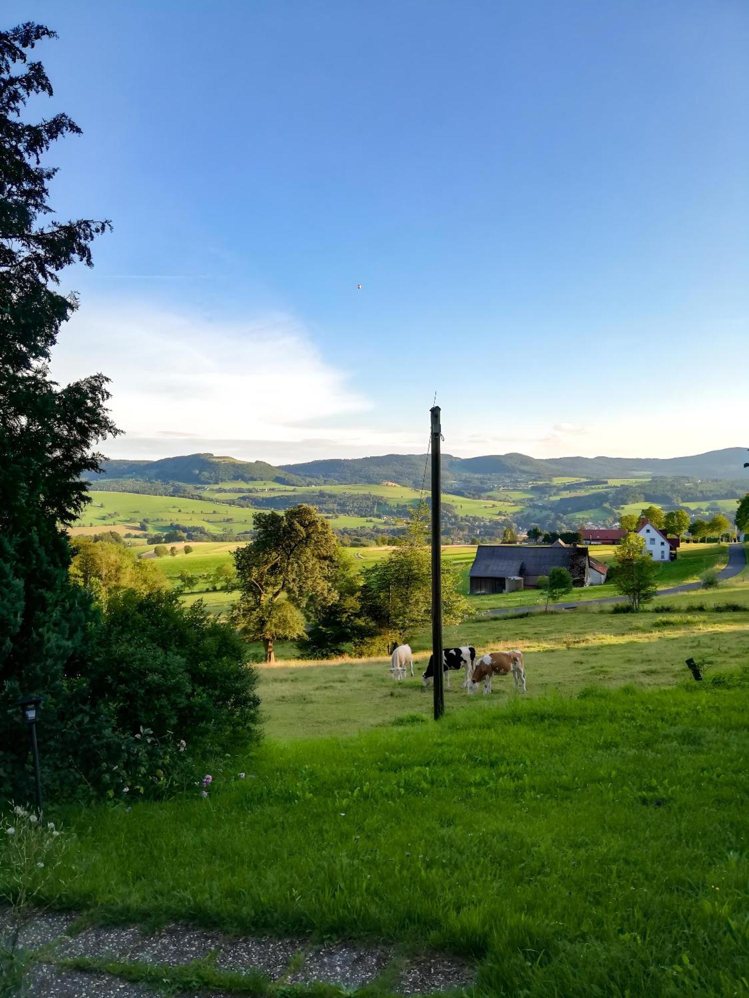 Ferienwohnung Rhoenpanorama غيرسفلد المظهر الخارجي الصورة